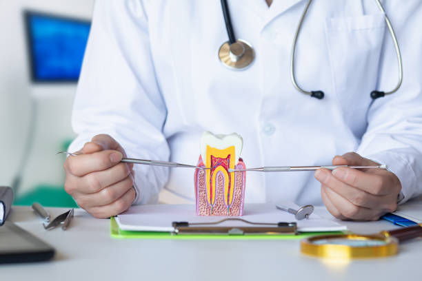 Best Emergency Dentist for Knocked-Out Tooth in Norwood, OK